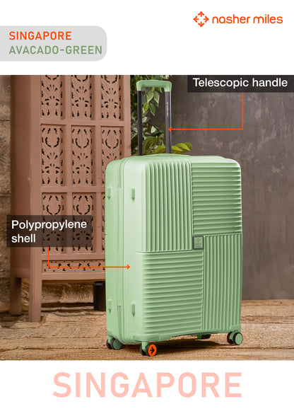 Nasher Miles Singapore Luggage - Avacado Green